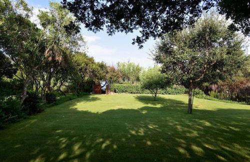 VILLA MILVIO con accesso privato in spiaggia - Foto 27