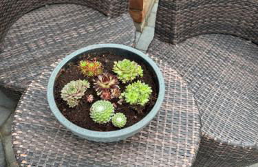 Beach House Apartment on ground floor with sea view - pet friendly - Foto 8