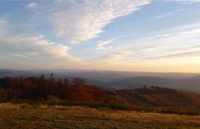 Apartment on the Edge of the Forest - Foto 40