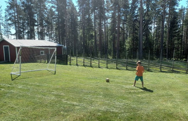 Lapland Pure Nature and More! - Foto 28