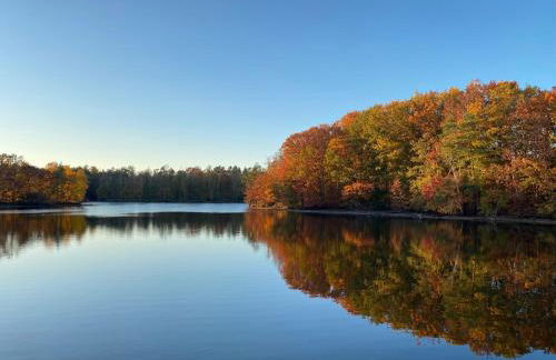 Hof Türke - Foto 31