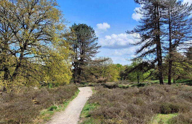 Villa in Overloon Near War Museum - Foto 20
