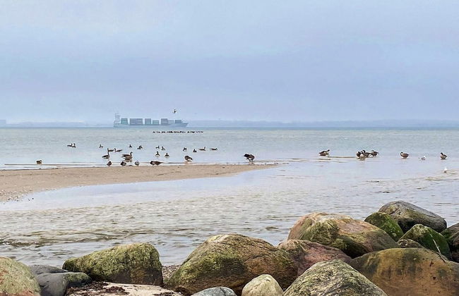 4 Personen Ferienhaus in Wendtorf - Foto 32