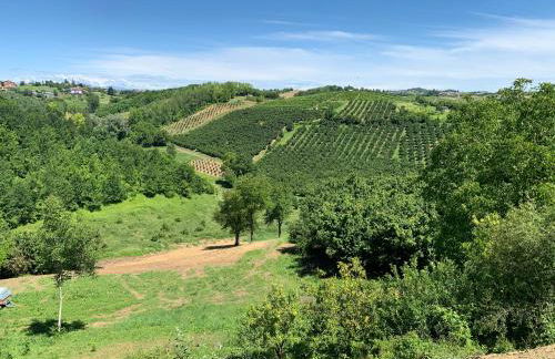 Coppo 1829 - Foto 23