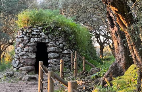 Muristene Pozzo Santa Cristina - Foto 16