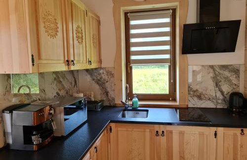 Żabie Dworki Witów Luxury Chalets & SPA - Foto 45