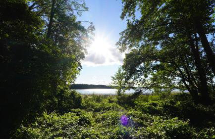 Ferienwohnungen am Krakower See - Foto 41