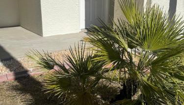 Sunset Harbor Palms 1-108 - Foto 5