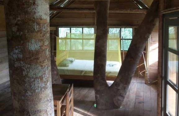 Reserva Natura Park in 3, 4, 5 o 6 giorni - Foto 7