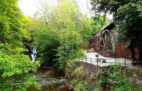 Penestaer - Photo 39