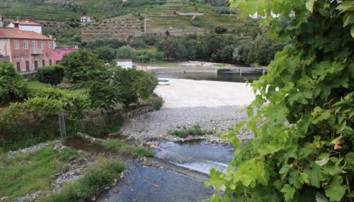 Casa Avô T1 - Foto 4