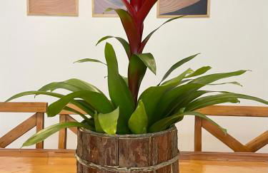 Casa Jabuticaba a 5 min dos Thermas e Hot Beach - Foto 7