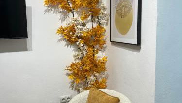 Apartamento Mamalú Jerez - Foto 4