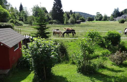 Ferienwohnung Mattenweg 1a - Foto 10