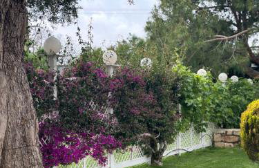 Amnisiades Apartments - Foto 9