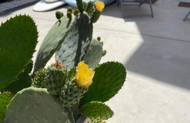 Beach House Es Trenc - Photo 51