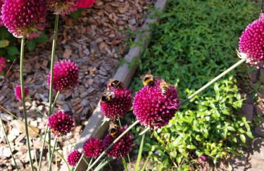 Top EG Rollstuhlwohnung 80qm zum Frühjahr- und Sommerpreis - Photo 38