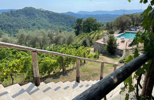 Agriturismo La Burlanda - Foto 77