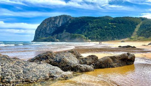 Urdaibai Etxea - Foto 5