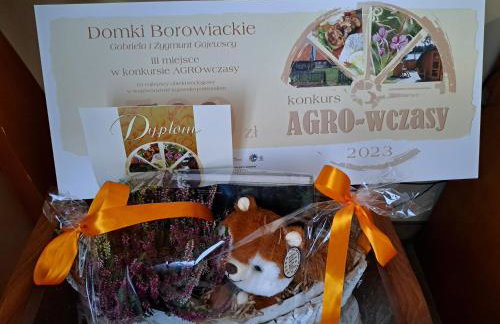 Domki Borowiackie nad brzegiem jeziora - Foto 3