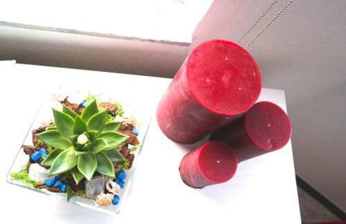 Apartamento Quinta Nova - Foto 21