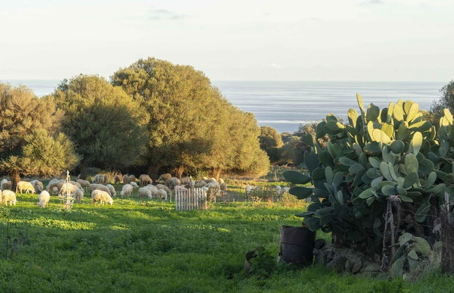 Casa Oliveto 2 in Galtell - Foto 16