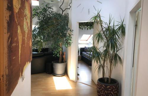 Stadtdschungel FeWo mit Balkon - Foto 3