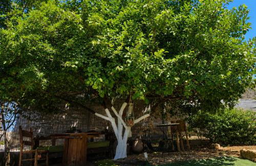 Solena - Garden Escape with Views near Chania - Foto 44