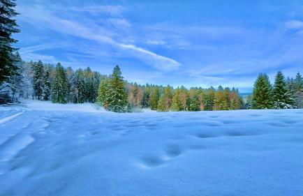 Haus Schlageter - Foto 7