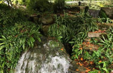 The Annexe at Fishponds - Photo 33