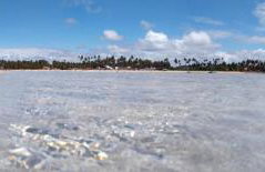 Flats Parada Obrigatoria - Foto 21