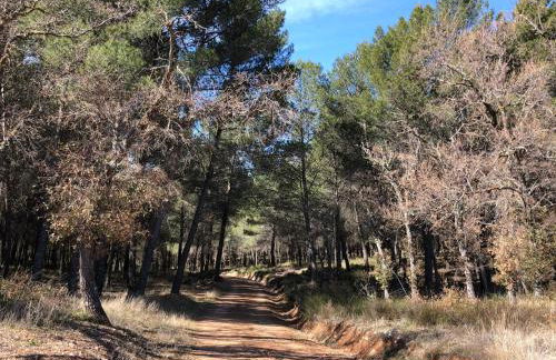 De Felipe Casa Rural - Foto 54