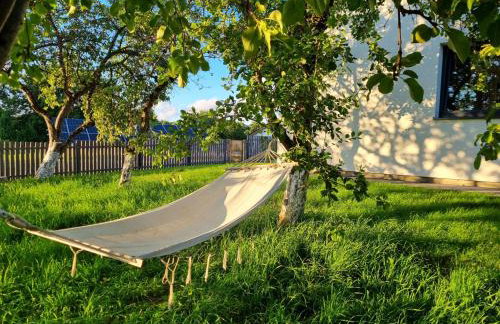 W Małym Sadzie - Foto 1