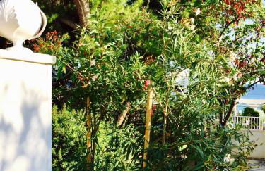 Le Due Pigne - Foto 2