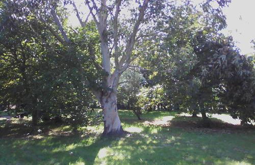 Gîte Lézardrieux - Foto 26