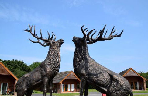 Maple 14 Hot Tub - Foto 14