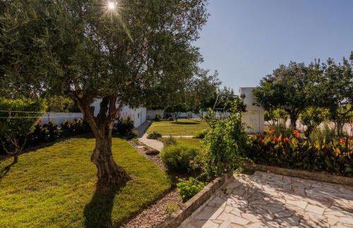 Cantinho da Ana - Foto 44