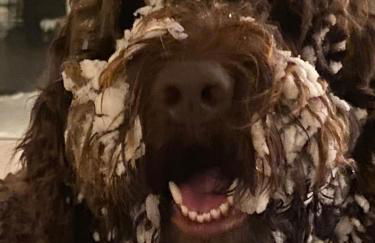 The Sanctuary at Deer Dune , Saugatuck - Foto 7