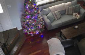 Colorado Cottage W/Mountain View - Foto 55