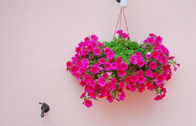 Agriturismo Villa Toscana - Foto 38