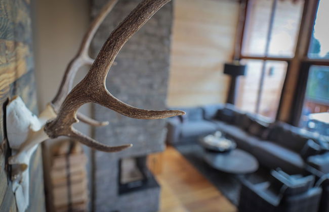 Priva Alpine Lodge Lenzerheide - Foto 46