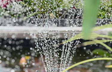 Daisy Cabin - Photo 44