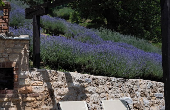 Ktima Bellou - Foto 12