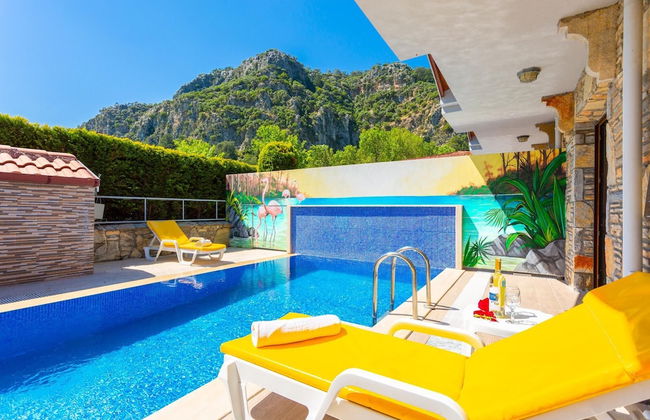 Villa Canan Paradise - Photo 41