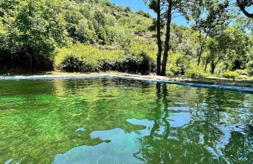 Bodeguita del Tiétar - Foto 13