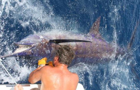 Villa Cascata, 3 bedroom, Pool, close to Olhos de Agua - Foto 69