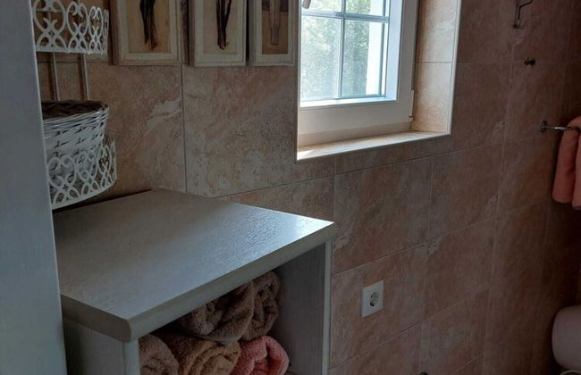 Holiday Home Kamenice - Foto 10