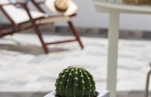 Leti Hydra - Foto 13