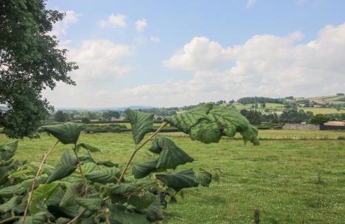 Wayside Lodge - Foto 25