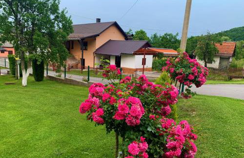 Guesthouse Diva Grabovčeva - Foto 4